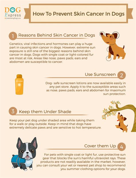 cancer preventative for dogs